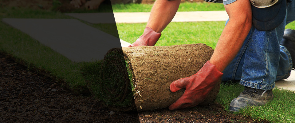 Blomkest Landscapers